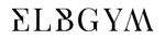 Das Logo von Elbgym.